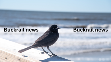 buckrail news