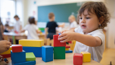 Exploring https //www.nicview.net: Watch Your Child’s School Moments Anytime