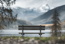 Has Tim Montgomerie Got Parkinson's Disease? Understanding the Facts Behind the Rumors