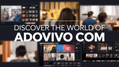 What is adovivo com and How Can It Help You Online?