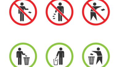 cleanest country